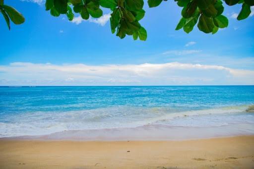 Sii Luxury 1 Bedroom Close To The Beach West Palm Beach Eksteriør bilde